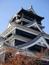 🇯🇵北九州之旅•添上金衣的熊本城🏯✨️