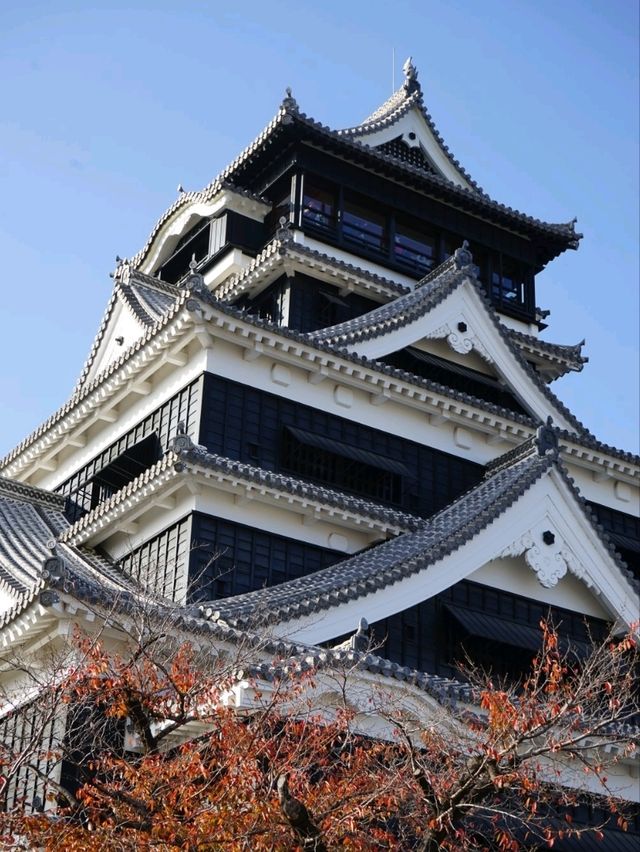 🇯🇵北九州之旅•添上金衣的熊本城🏯✨️