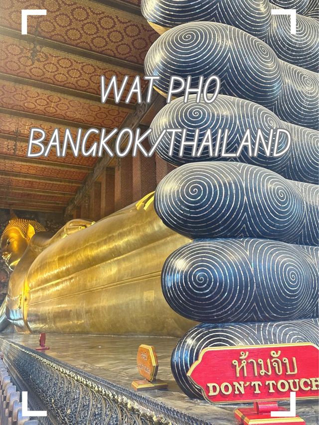 【タイ/バンコク】黄金に光る49mの仏像さま！