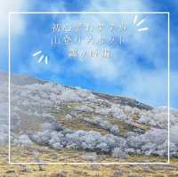 初心者おすすめ登山スポット【霧ヶ峰編】