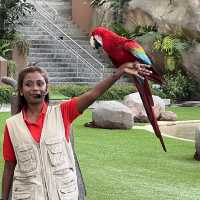 Asia Largest Birdpark - TIPS shared!