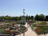 Japanese Tulip Fair 