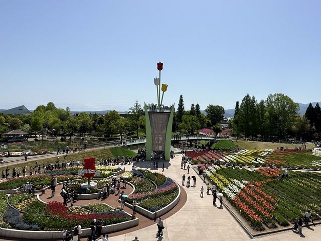 Japanese Tulip Fair 