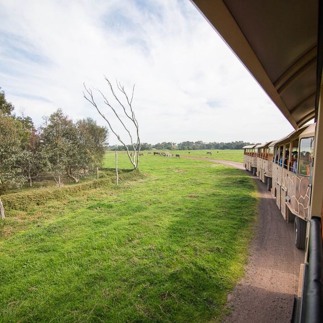 Open Range Zoo at Werribee, Australia