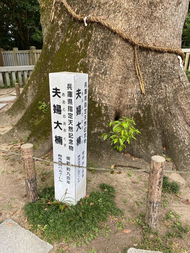 【淡路島】最強パワースポット