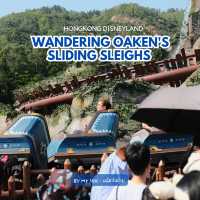 🇭🇰Wandering Oaken's Sliding Sleighs, Hongkong