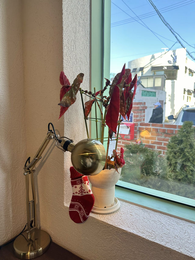 숲속 다람쥐가 살 것만 같은 카페 모종 🐿️
