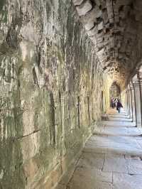 Ta Prohm Temple_in Tomb Rider Movie