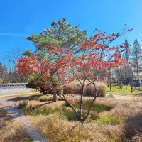 釜山🇰🇷悠遊慢步調享受風景與美食的城市