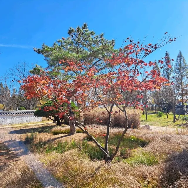 釜山🇰🇷悠遊慢步調享受風景與美食的城市