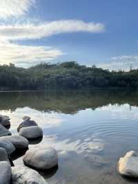 深圳最美植物園，湖光山色，處處都是打咭位