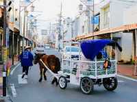 Shimoyoshida Honcho Street.