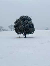 눈 올땐 삿포로 부럽지 않은 서울 올림픽공원🩵❄️