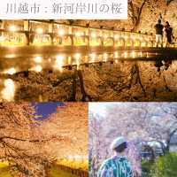 【埼玉】おすすめSAKURAスポット6選
