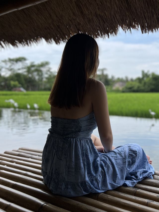 峇里田園餐廳🍴Ubud人氣水上用餐🙉Bebek Tebasari Resto☺️