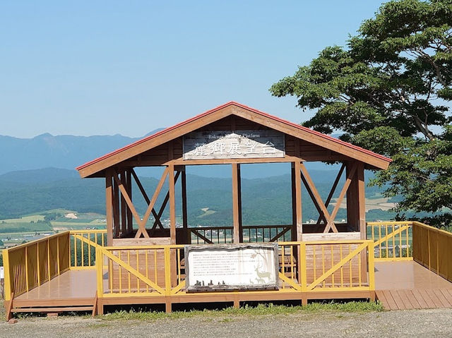 Rokugo Viewing Platform 