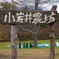 Koiwai farm; try their milk!