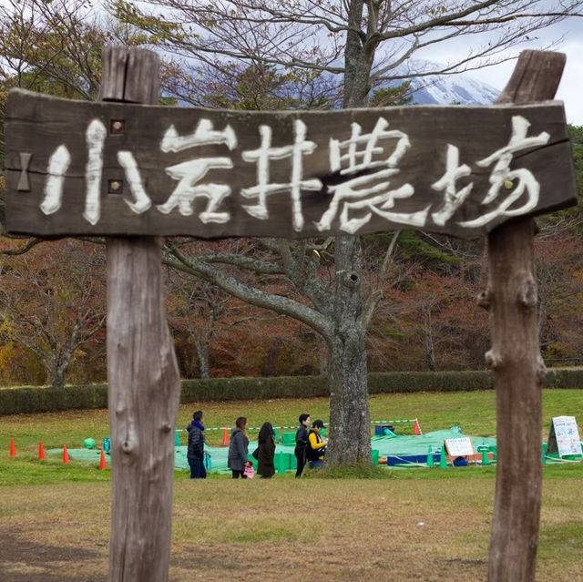 Koiwai farm; try their milk!