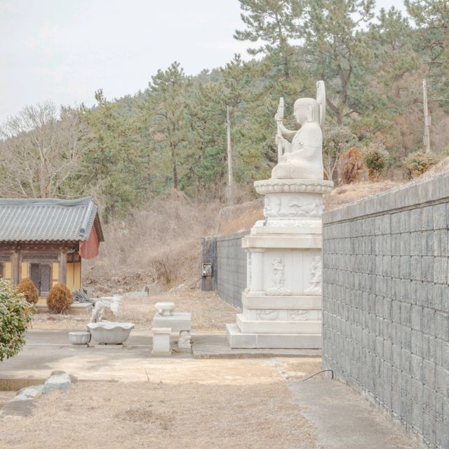 겨울꽃 동백과 바다가 아름다운 지장대사