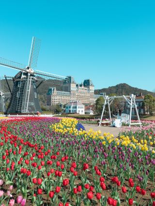 [Nagasaki] Mùa xuân tại Huis Ten Bosch! Lễ hội hoa tulip