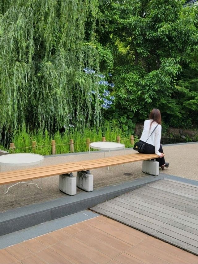 【京都/涼感スポット】暑い季節🥵に、目も身体も涼まる❄️スポットへお出かけしませんか？！🤍