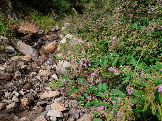 Bomokod Falls: Nature's Oasis in Sagada