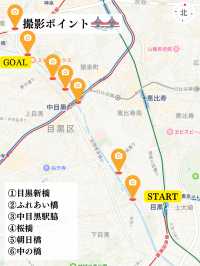 総距離4km‼️川沿いの道のりを歩いて桜を堪能しよう🌸花見クルーズもある⁉️※撮影ポイント(場所)情報付き