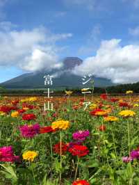 富士山とジニア、ひまわりが同時に見られる無料スポット