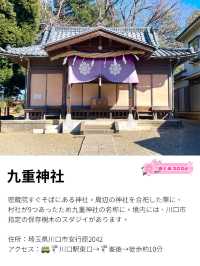 【九重神社/埼玉県】川口市指定の保存樹木「スダジイ」が圧巻！
