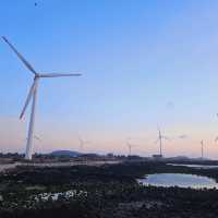 Windfarm Park at Aewol, Jeju