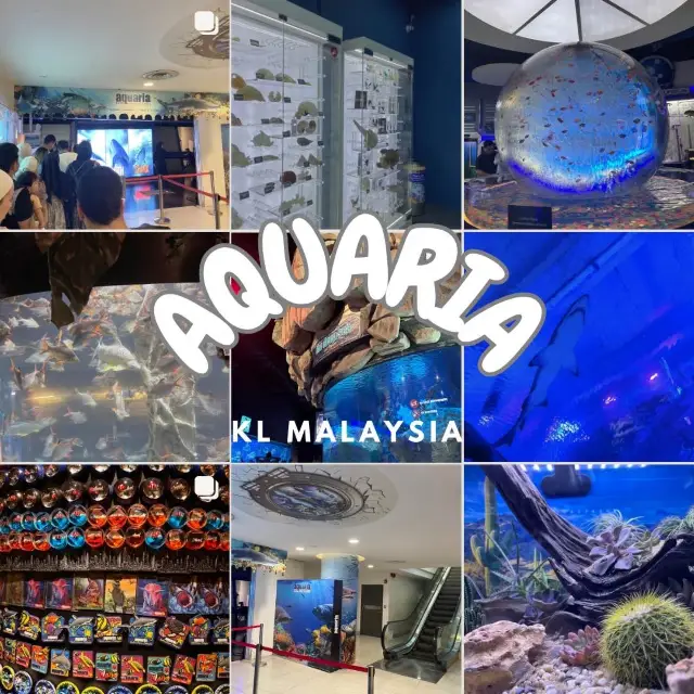 สัตว์ใต้น้ำ Aquaria KlCC