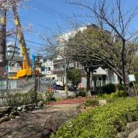 【限時優惠】葛西親水四季之美，享受舒適時光