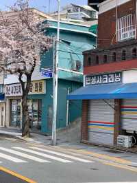 부산 벚꽃 명소 닥밭골벽화 마을 