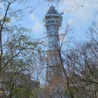 เดินเที่ยวสวนสัตว์ที่โอซาก้า