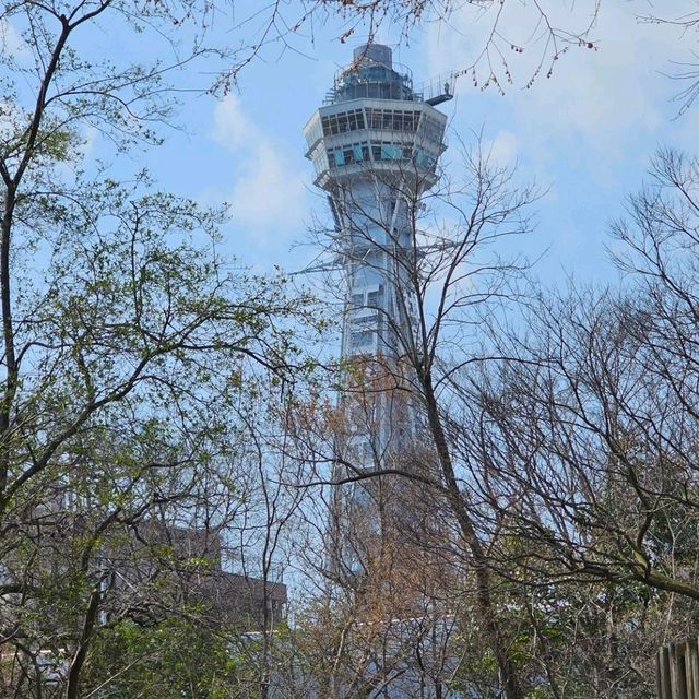เดินเที่ยวสวนสัตว์ที่โอซาก้า