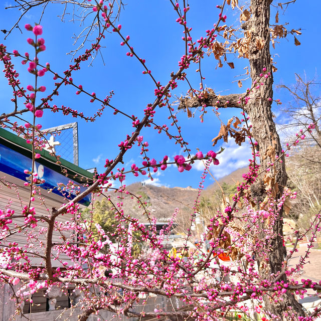 Tips for a perfect day at the Mutianyu Great Wall 🇨🇳