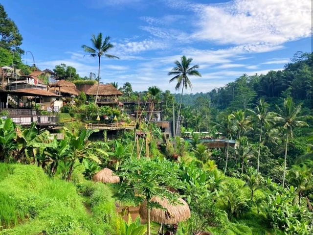 Ceking Rice Terrace