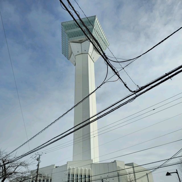 일본여행 하코다테 고료카쿠五稜郭跡 타워 관광