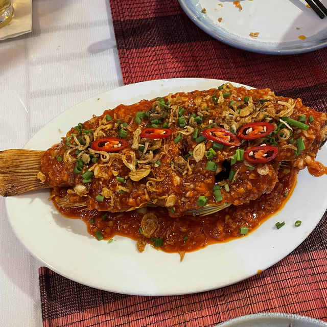 칠리도미가 맛있는 Hoi An ‘Tan Phat’