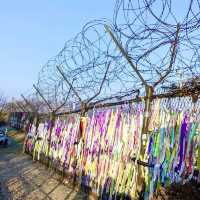 ⚡️Stepping into the forbidden zone: exploring DMZ! 🇰🇷🇰🇵