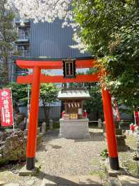 【横濱厳島神社/神奈川県】大安日は銭洗弁天社でお参り