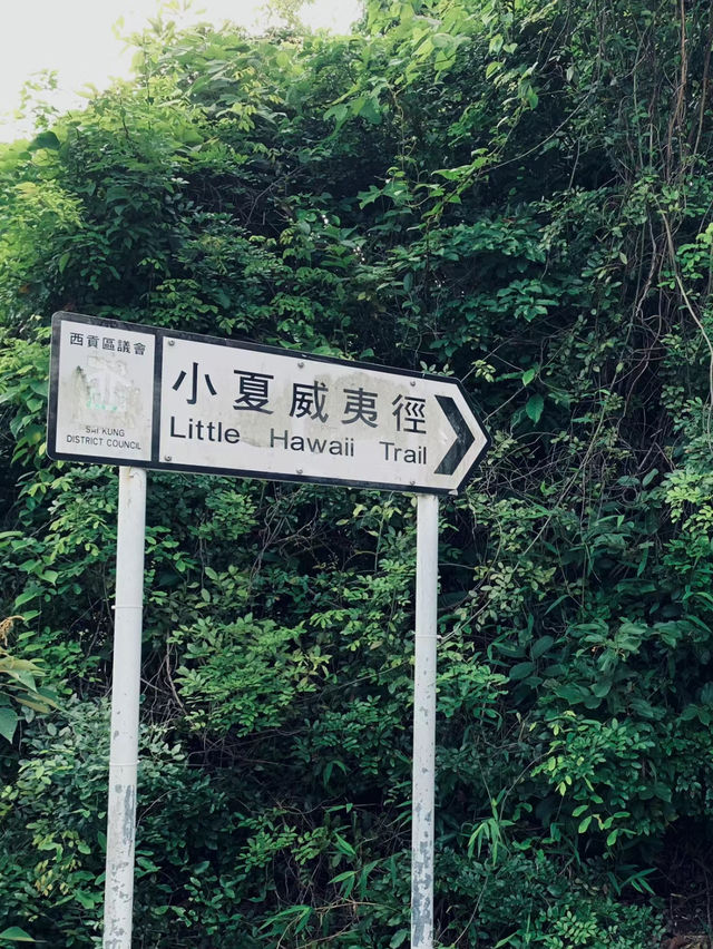 香港市區的秘境 —— 小夏威夷的初春踏青