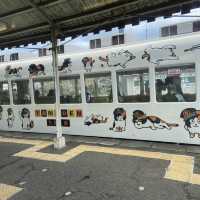 Cute cat train for cat lovers 