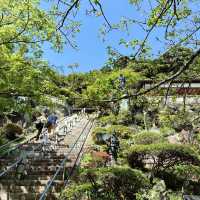 福岡景點～大悲王院～恬靜氛圍