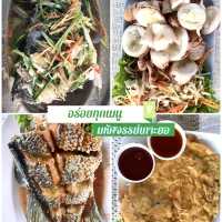 พบสิ่งมหัศจรรย์ 🌝 บน เกาะยอ  สงขลา
