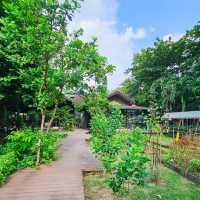 Somdul Agroforestry Home 