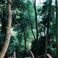 臺北象山步道：城市中的自然寧靜，俯瞰高樓大廈與綠意盎然的獨特景緻