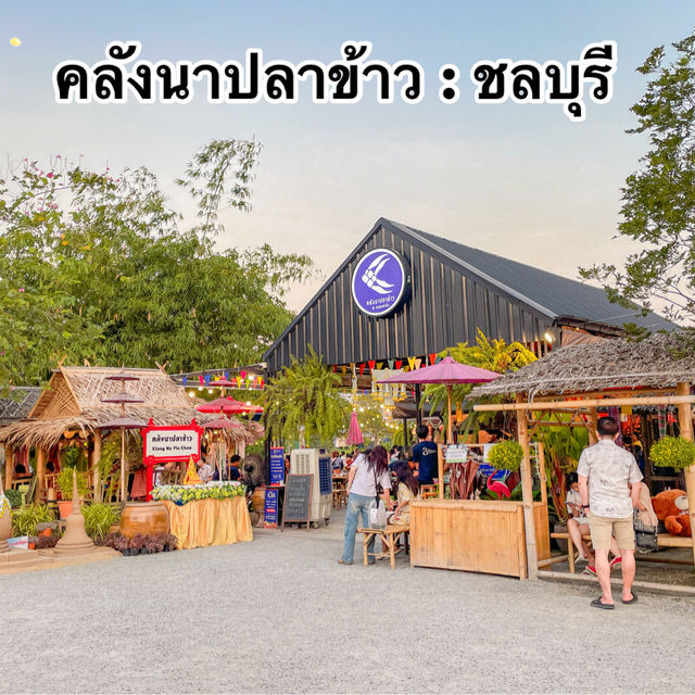 คลังนาปลาข้าว ชลบุรี🌱✨ คลังนาปลาข้าว ชลบุรี🌱✨