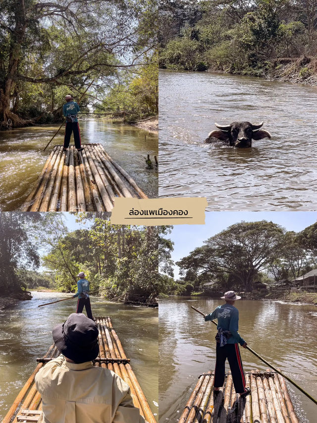 📍ปักหมุด 6 พิกัด เที่ยวเชียงดาว 2 วัน 1 คืน ⛰️🌲🏠