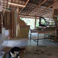 ร้านบ้านชาในป่าฝน Tea House in Rainforest
